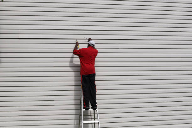 Best Siding Repair  in Centerville, IN