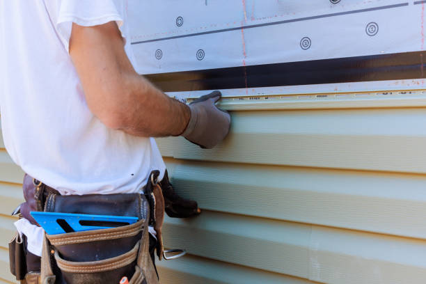 Best Custom Trim and Detailing for Siding  in Centerville, IN
